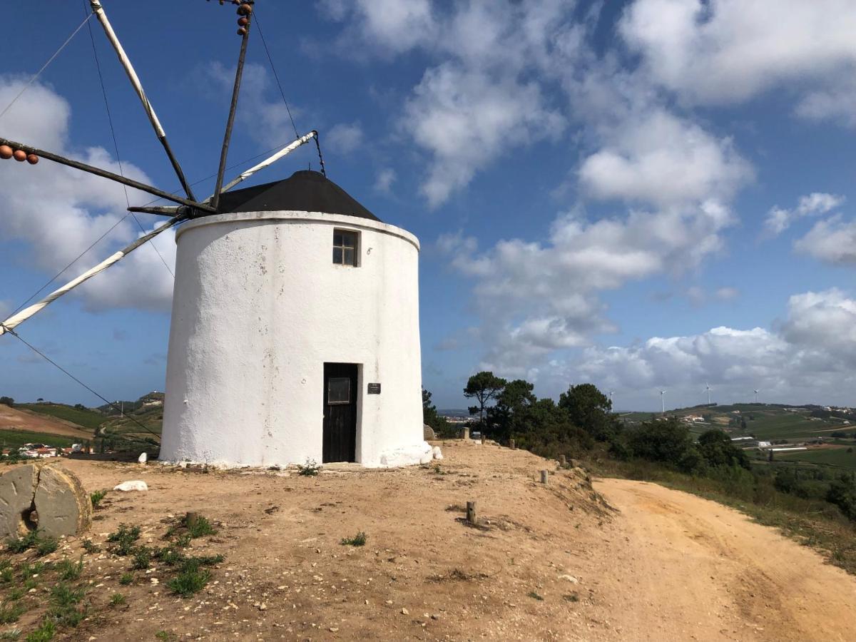 Traditional Portuguese Village House - Casa Martins No 52 Freiria 外观 照片