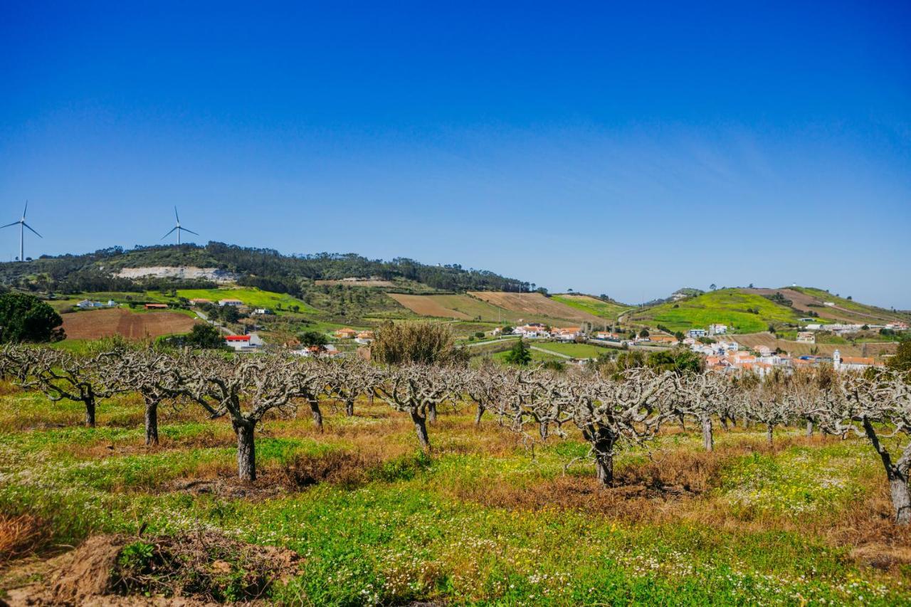 Traditional Portuguese Village House - Casa Martins No 52 Freiria 外观 照片