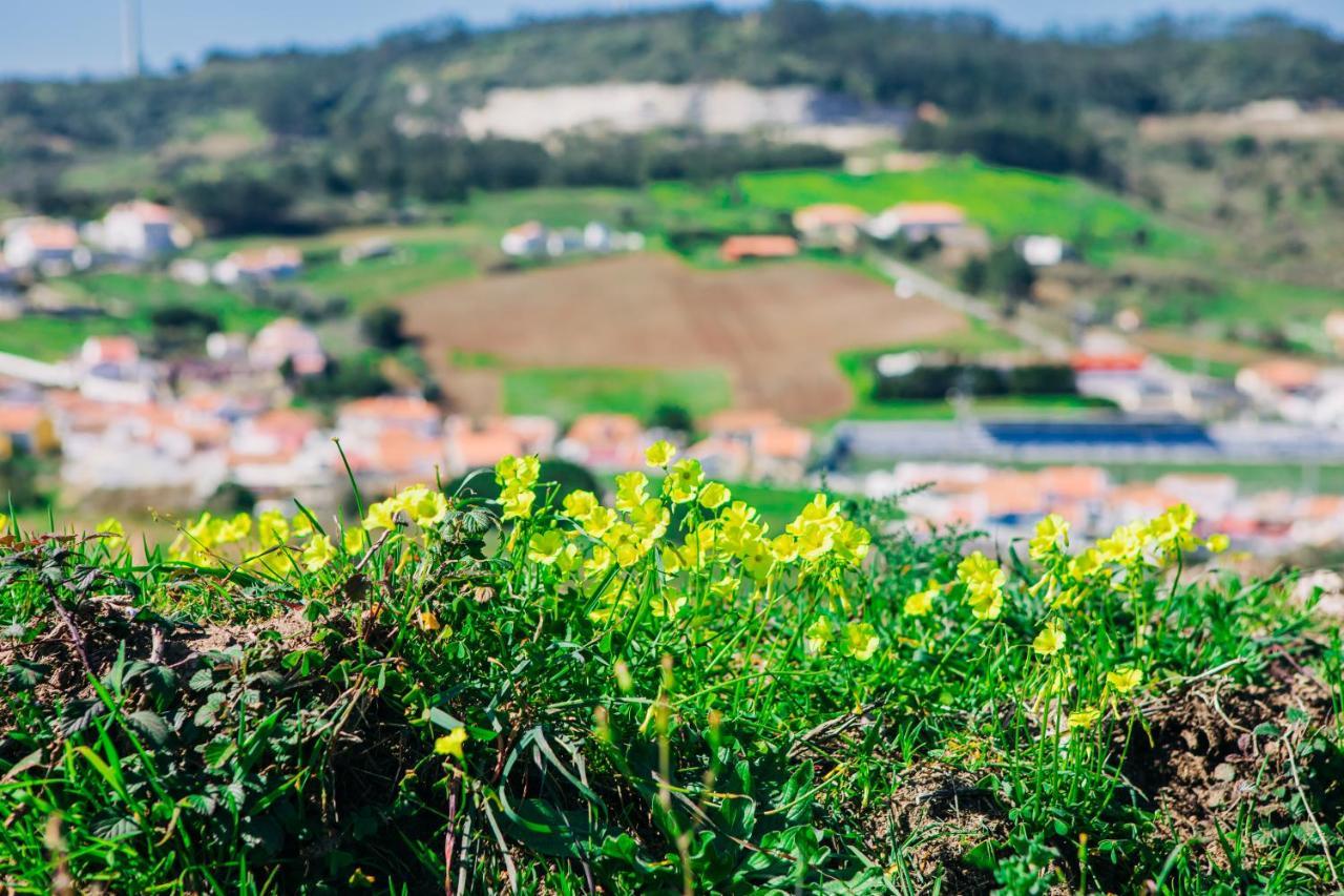 Traditional Portuguese Village House - Casa Martins No 52 Freiria 外观 照片