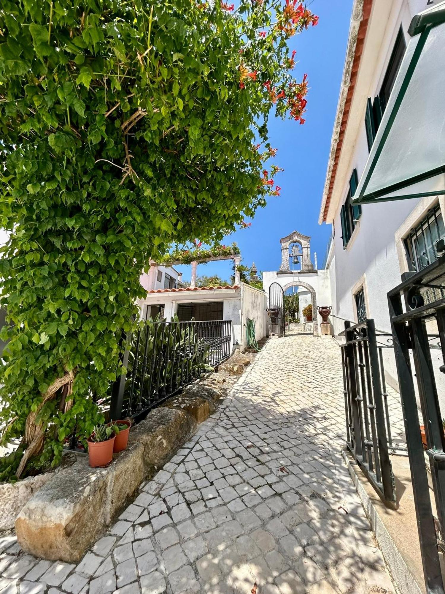 Traditional Portuguese Village House - Casa Martins No 52 Freiria 外观 照片